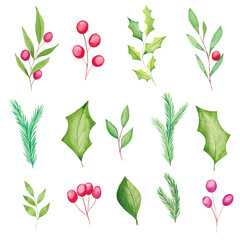 Watercolor Christmas floral elements, poinsettia flowers, berries, leaves, fir tree branches