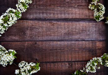 Hintergrund, Hintergrund mit Weiße Blumen auf Holzplanke 