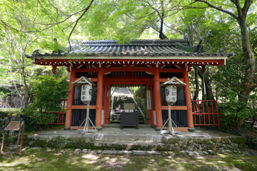 新緑の金蔵寺　仁王門　京都市大原野