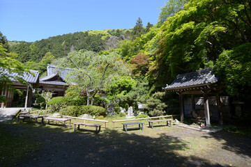 Fototapeta na wymiar 新緑の金蔵寺　境内　京都市大原野