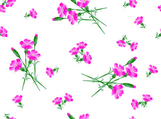 Cute delicate pink dianthus flowers seamless pattern on white background. Vector drawing for design of textile, fabrics, wallpaper, web sites and other.