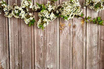 Fototapeta na wymiar Hintergrund , Hintergrund mit weiße Blumen auf Holzplanke 
