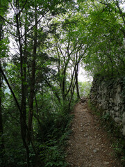 Wandern