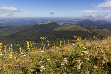 Fototapeta na wymiar Volcan d'Auvergne