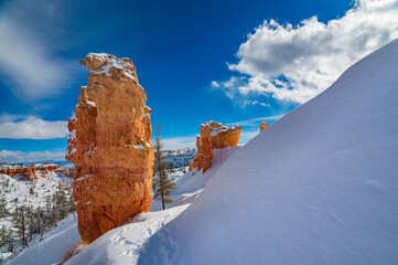 Snow Bank Covers the Hoodoos of Bryce Canyon