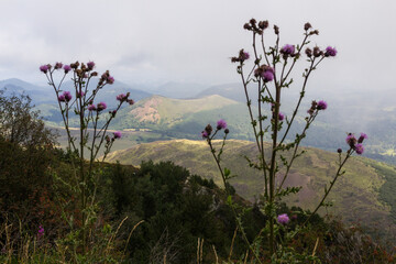 Volcan dans la brume