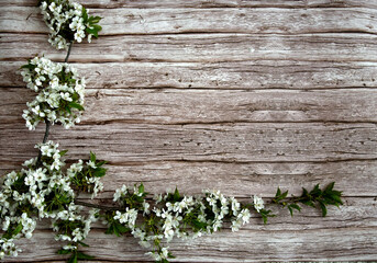 Hintergrund , Hintergrund mit weiße Blumen auf Holzplanke 