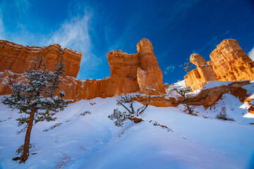 Heavy Snow on the Hoodoos of Bryce Canyon