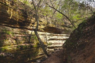 Forest trail. Scenic panoramic view of the Canyon in National Park, in the State of Illinois, USA. Mountain hiking trail.