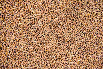 buckwheat groats sprinkled close up food background