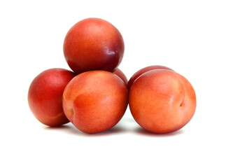 Red plum fruit isolated on white background