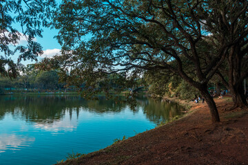 Lago do Parque Ibirapuera, São Paulo.