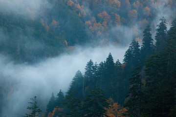 Mountain Morning with clouds