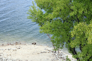 Shore of the Atazar Reservoir 