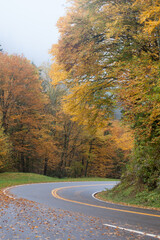 Obraz premium Road through the fall leaves