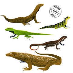 Fototapeta premium Set of reptile