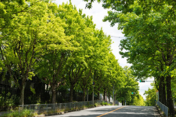 吹田市の三色彩道