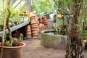 Obraz premium A path in the greenhouse of a botanical garden with potted plants and a bunch of empty flower pots, and a small reservoir for air humidity.