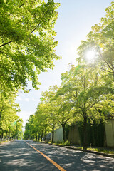 吹田市の三色彩道