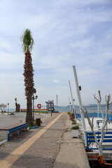 pier in the harbor