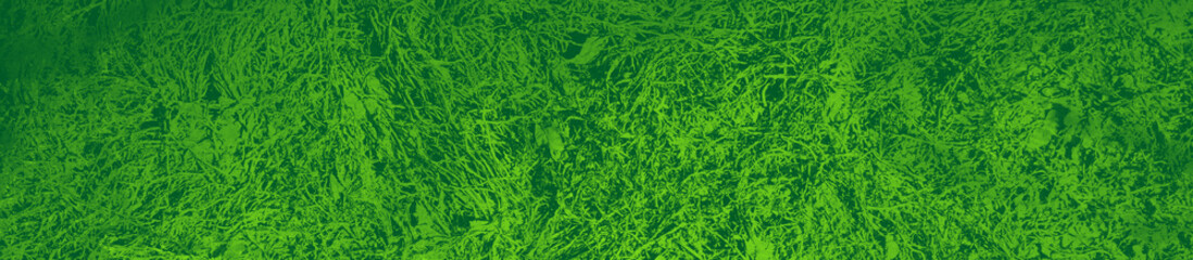 abstract green bright color background for design