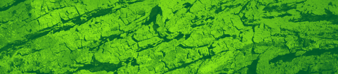 abstract green bright color background for design