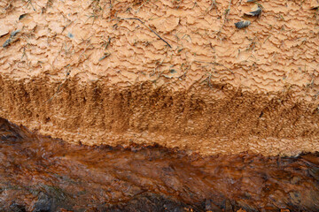 texture of a stone