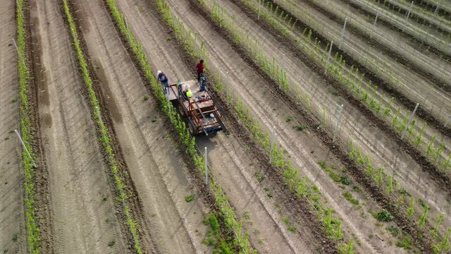 what it means to be a land owner - fruit picking