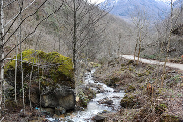 stream in winter