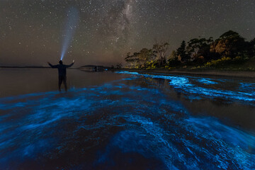 Bioluminescence Selfie under the Milky Way