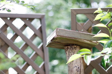 The feeding box for Wild bird.