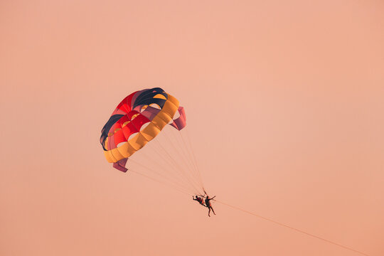 Parasailers Flying On Colorful Parachute In Sunset Or Sunrise Sky. Active Hobby