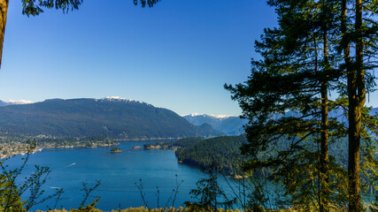 Fototapete bei efototapeten.de bestellen   