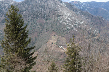 snow covered mountains