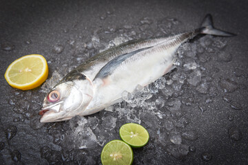 mackerel scad, Fish on ice for cooking food in the restaurant, Fresh fish raw torpedo scad with lemon, top view