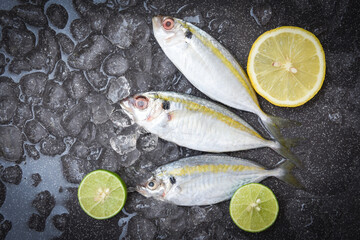 Mackerel fish on ice for cooking food in the restaurant, Fresh fish raw Yellow-stripe scad with lemon, top view