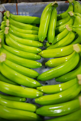 Bunches of fresh green thailand banana