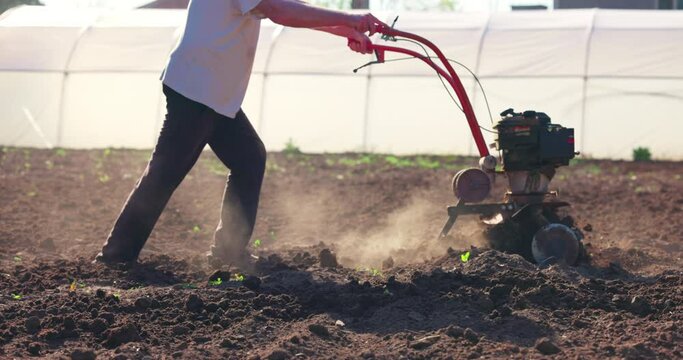 Farmer with a machine cultivator digs the soil in the vegetable garden