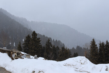 snow covered mountains