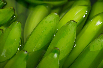 Bunches of fresh green thailand banana