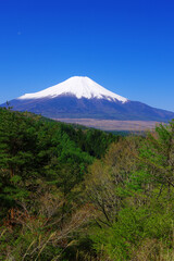 Plakat Mt. Fuji in the clear blue sky from Nijyuumagari Pass in Oshino Village Yamanashi Japan 05/03/2021