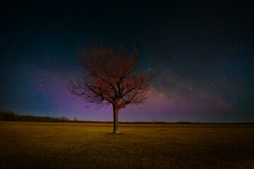 Plakat Landscape with Milky Way. Night sky with stars 