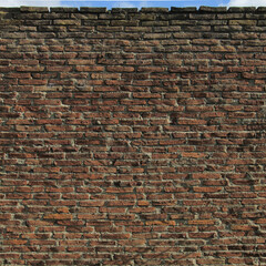 Antigua Pared de Ladrillo Old Brick Wall