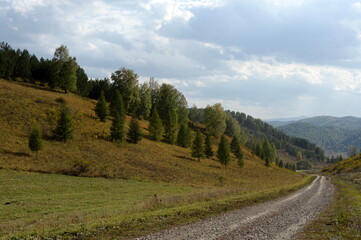 Fototapeta na wymiar Western Siberia. The road in the foothills of the Altai Mountains to the taiga village of Generalka