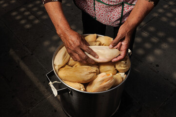 tamales ciudad de m&eacute;xico 