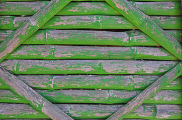Old green pattern of bamboo wall