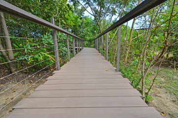 Fototapeta premium High long stairs with fences in the forest