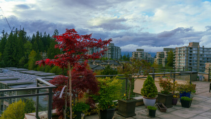 BC multi-family residential community on a blustery spring day as seen from a neighborhood rooftop patio garden