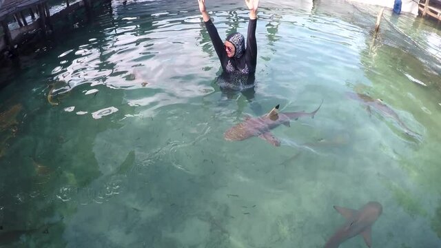Happy woman swim and playing together with baby shark at Karimun Jawa