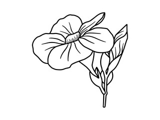 Hand drawing and sketch flower with line art illustration.
